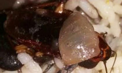 Imagem da noticia destaque