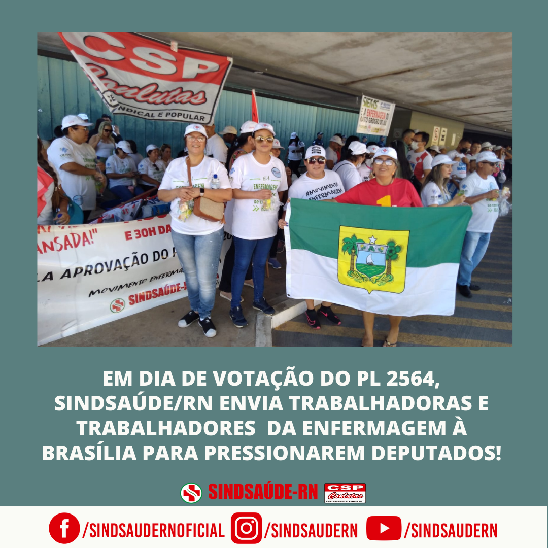 Imagem da noticia destaque
