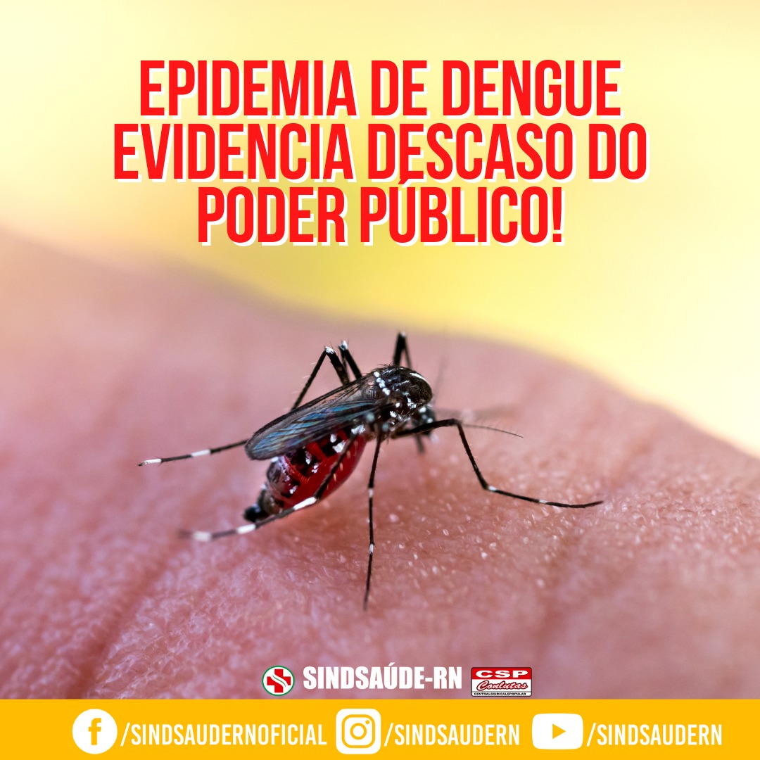 Imagem da noticia destaque