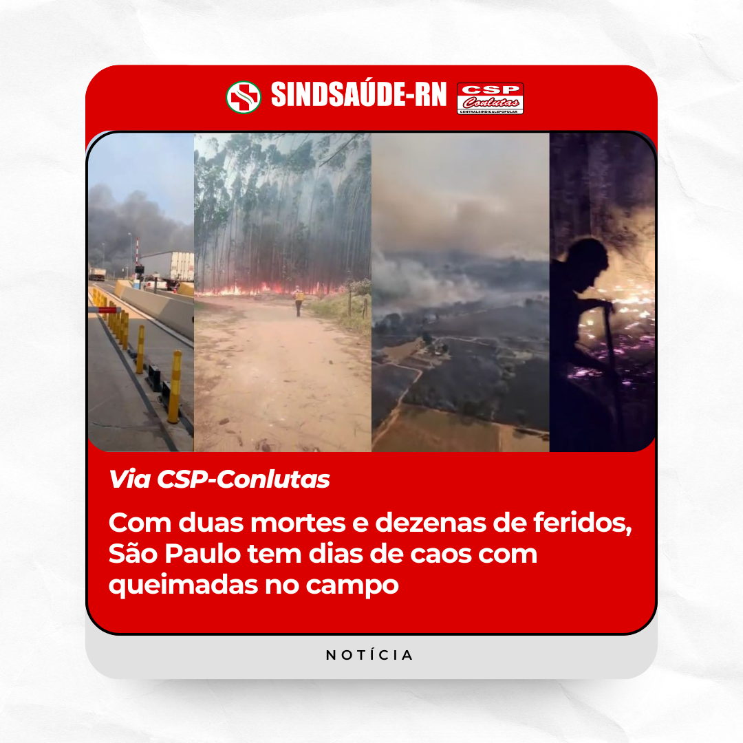 Imagem da noticia destaque